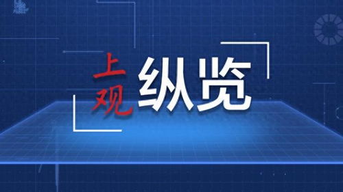 激活數(shù)字引擎 中國數(shù)字服貿(mào)為開放型世界經(jīng)濟(jì)注入新動(dòng)能